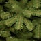 9 ft. Unlit North Valley Spruce Full Artificial Christmas Tree